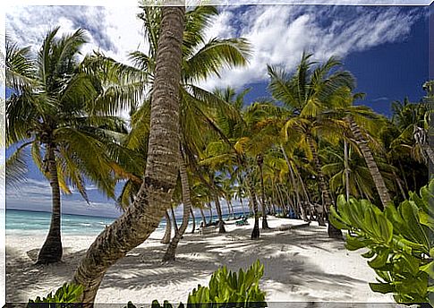 Beach in Roatan, Honduras