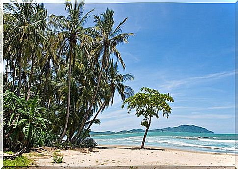 Tamarindo Beach in Costa Rica