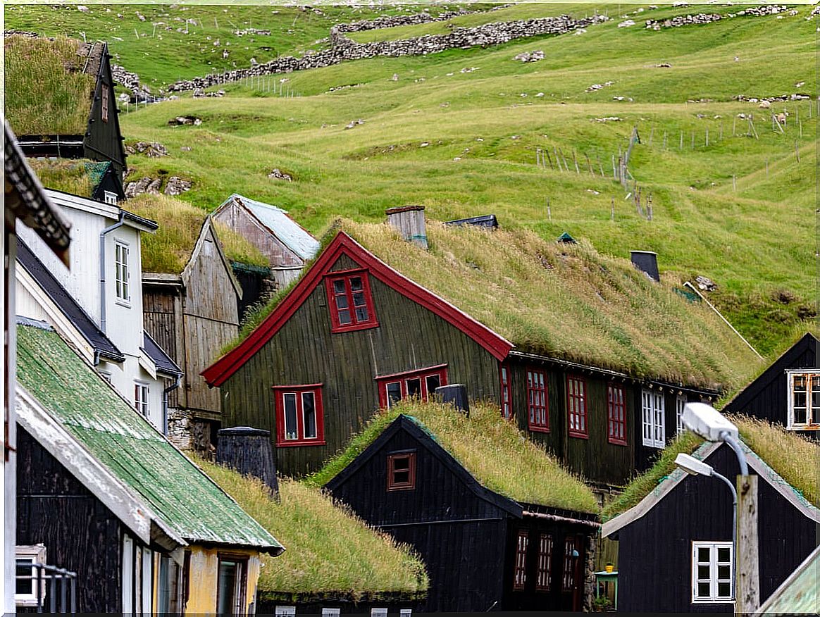 In the Faroe Islands, houses have grass on the roof.