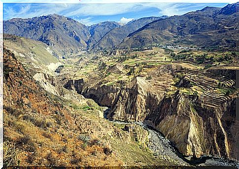 Gorge in the Colca Canyon