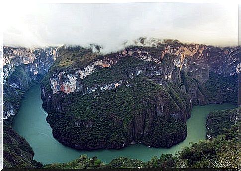 Gorge in the Sumidero Canyon