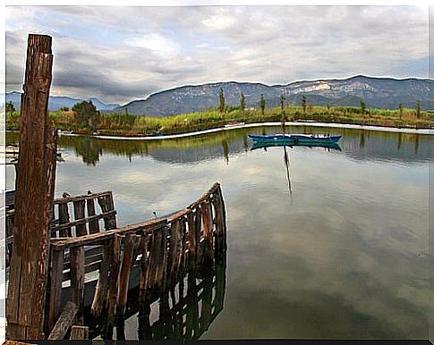 Albufera de Cullera