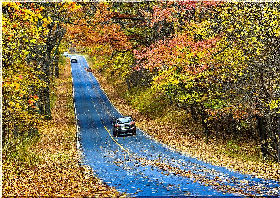 Driving route on a secondary road