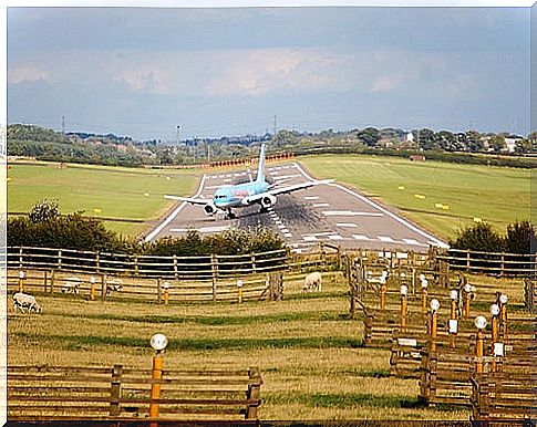 Plane in airport