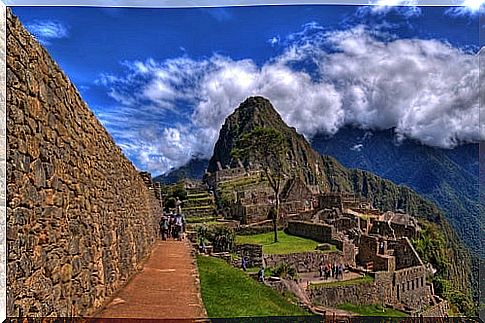 Paths to Machu Picchu