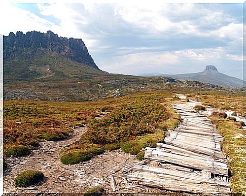 Cradle Mountain in Australia