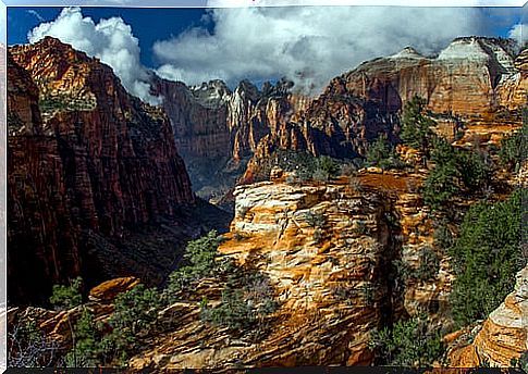 Trails in Zion National Park