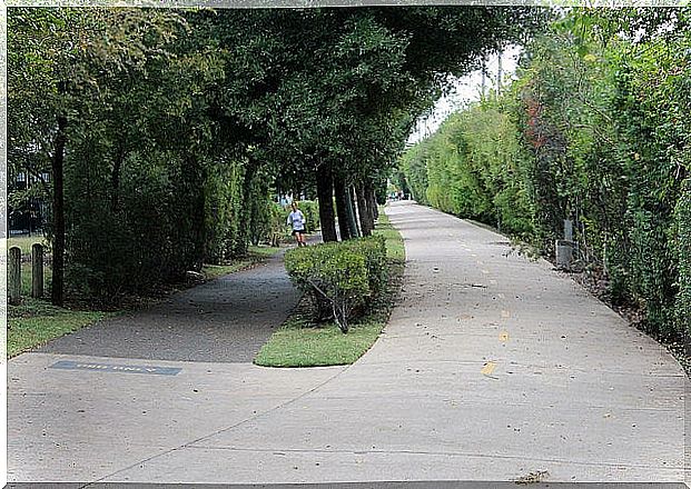 Katy trail in Dallas