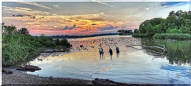 White Rock Lake in Dallas