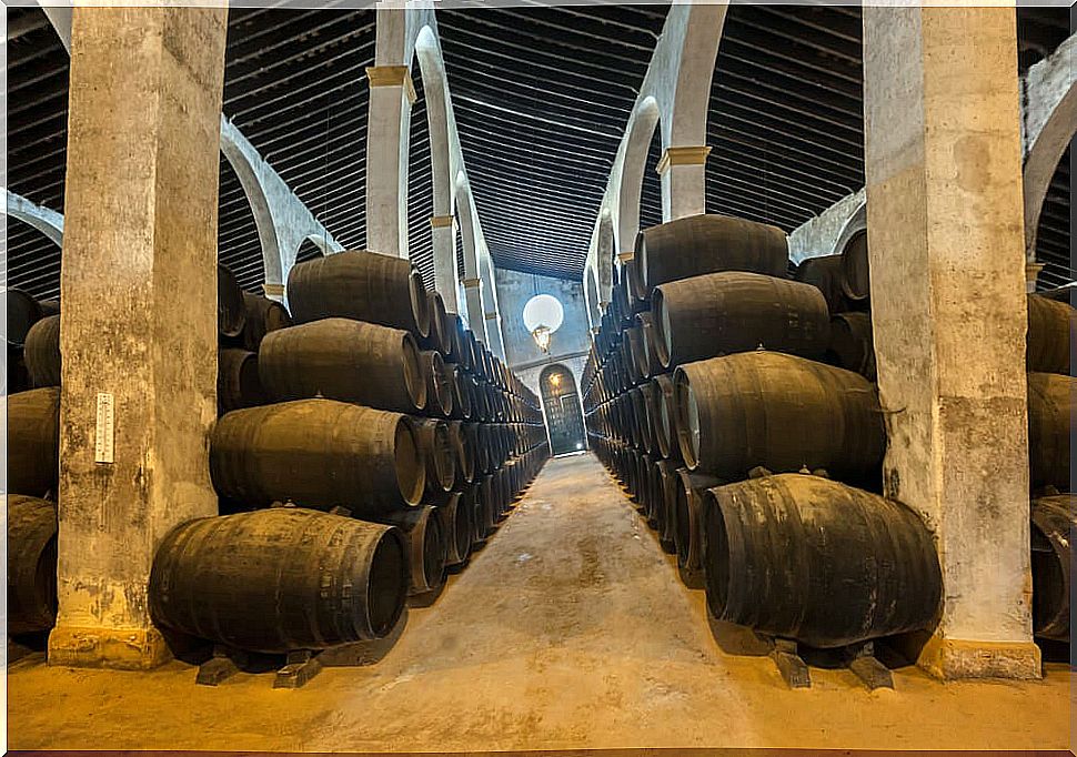 Winery in Jerez de la Frontera