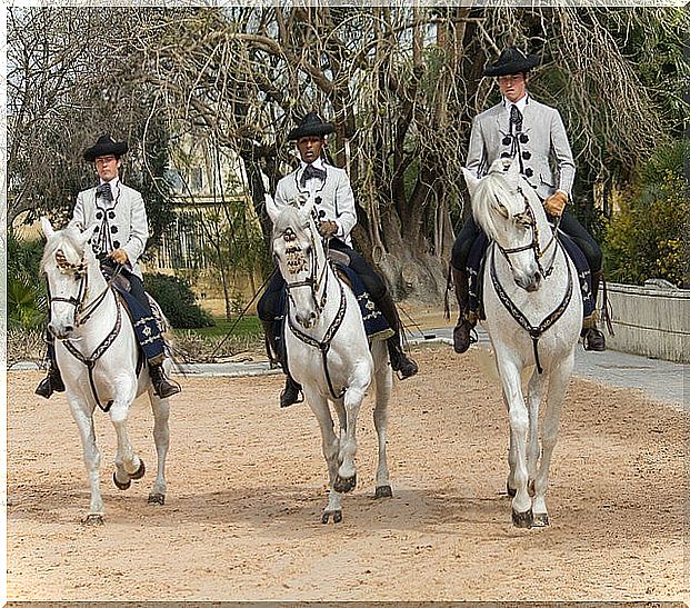 Royal School of Equestrian Art of Jerez de la Frontera