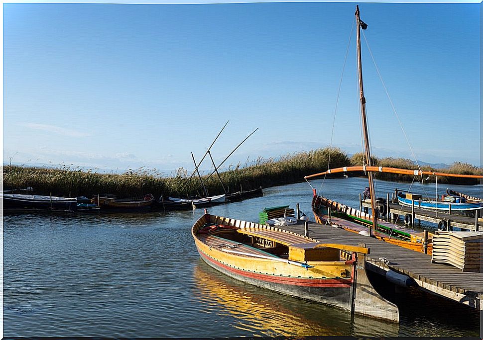 A walk through the Albufera Natural Park in Valencia