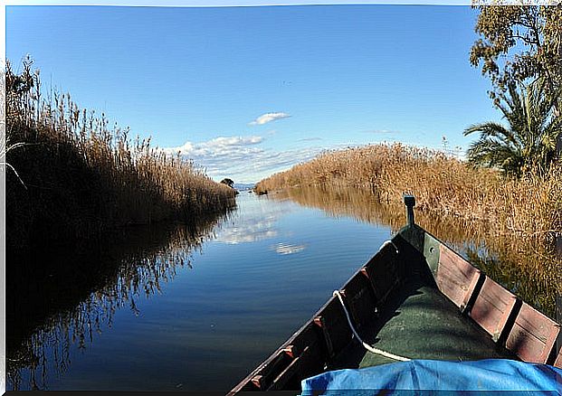 Boat in the Albufera Natural Park of Valencia