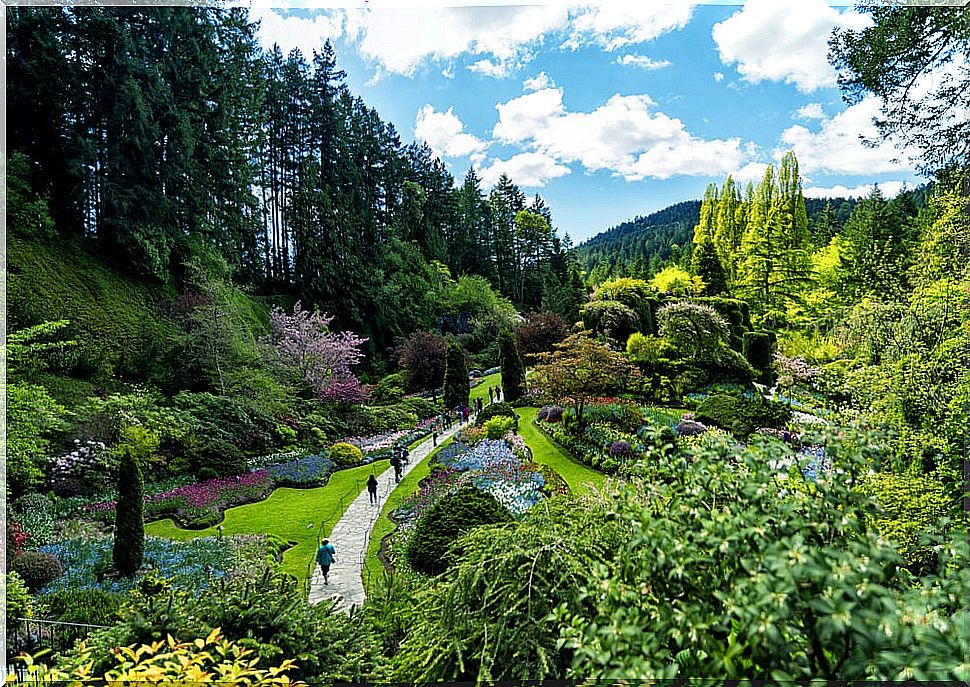 A walk through Butchart Gardens in Canada