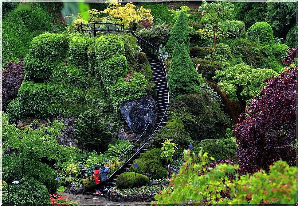 Vegetation in the gardens