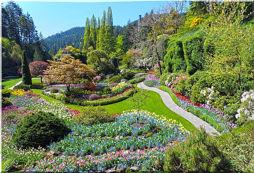 View of Butchart Gardens