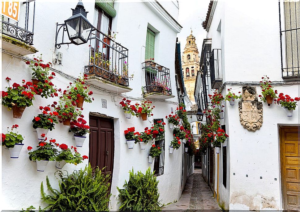 Calleja de las Flores de Córdoba