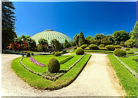 Crystal Palace in Porto