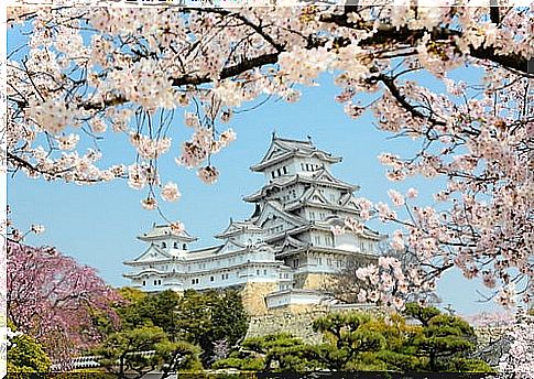 Himeji Castle in Japan