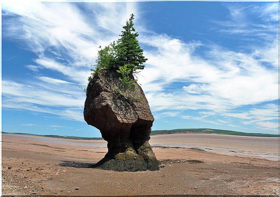 Bay of Fundy in Canada