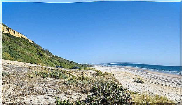 Costa de Caparica Beach