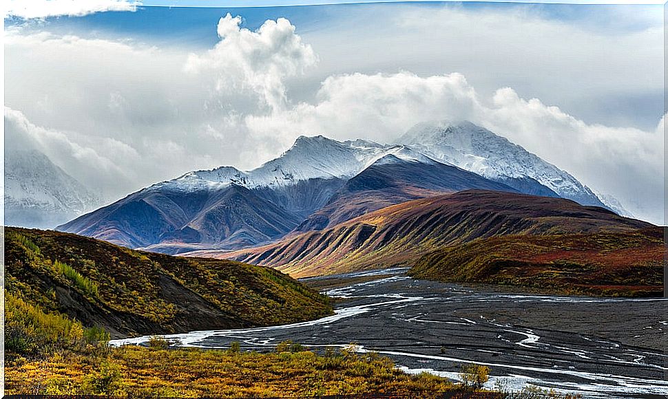 Denali National Park: An Incredible Space in Alaska