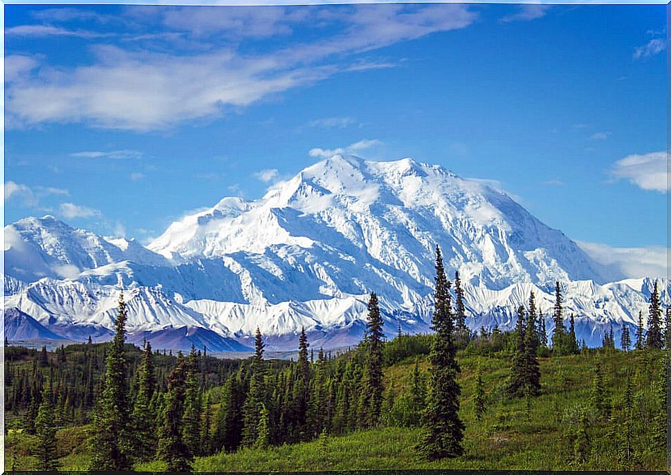 View of Denali Peak