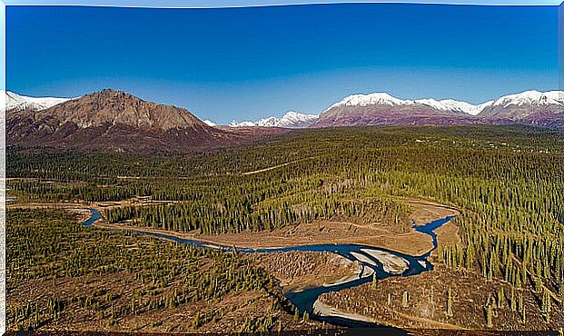 Aerial view of Denali National Park