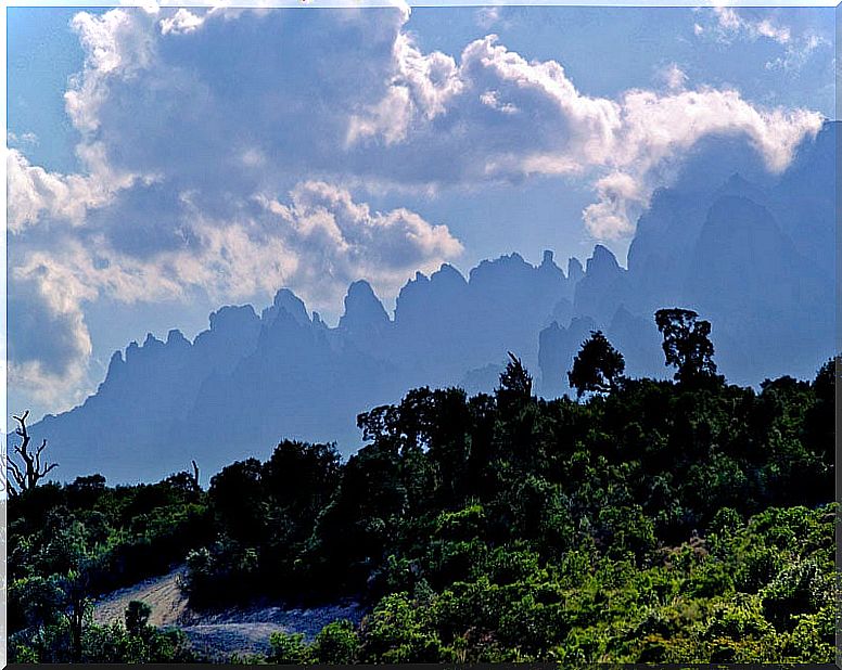 Needles of Bavella in Corsica