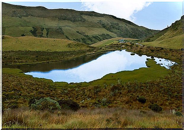 Lagoon in Los Nevados