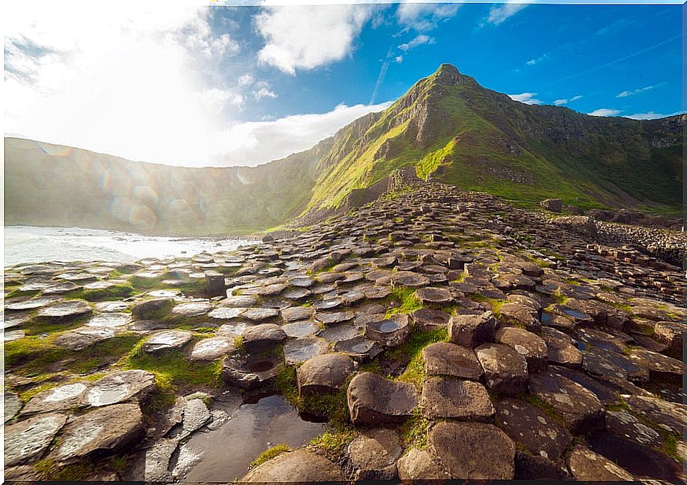 The Giant's Causeway in Northern Ireland: discover this beautiful place