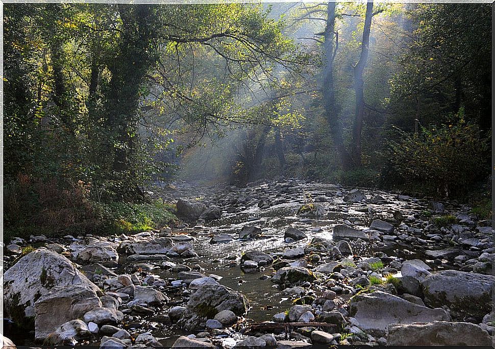 Andaka River in Dryanovo