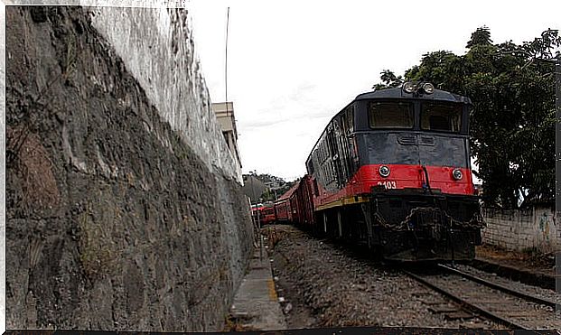 Cruise train