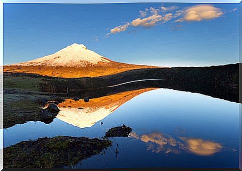 Cotopaxi volcano