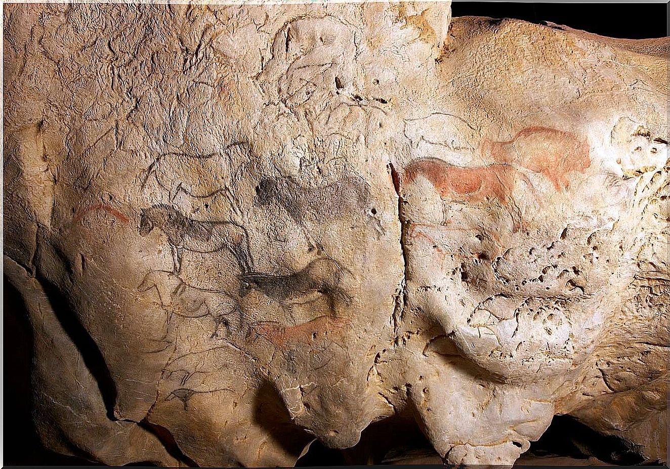 Ekain: a temple of Paleolithic rock art