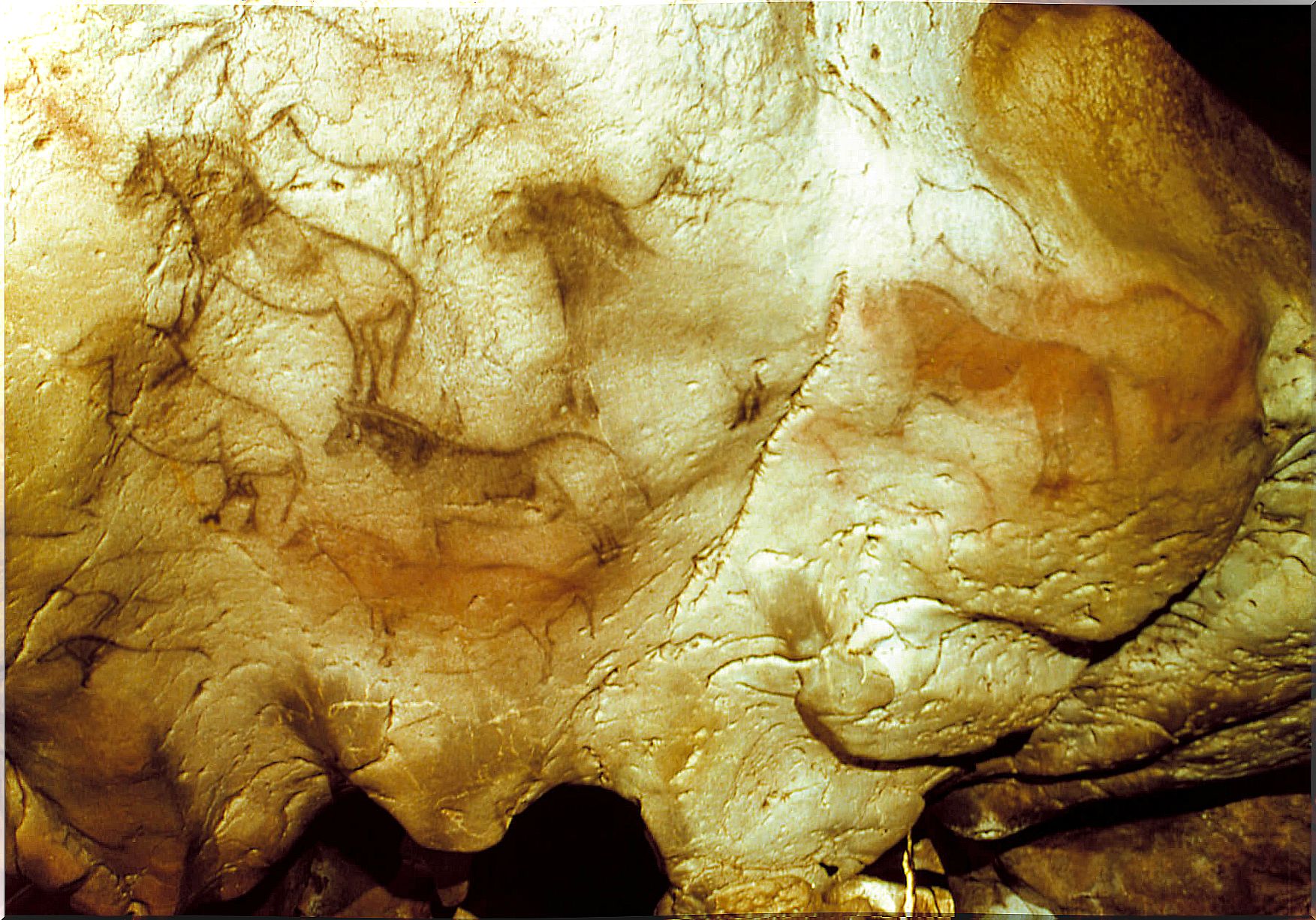 Figures of horses in the cave of Ekain.