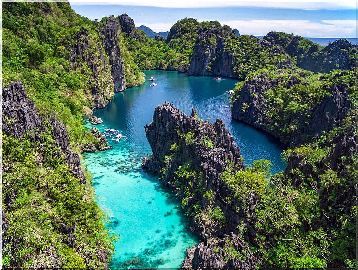 El Nido, in the Philippines, contains a great marine fauna.