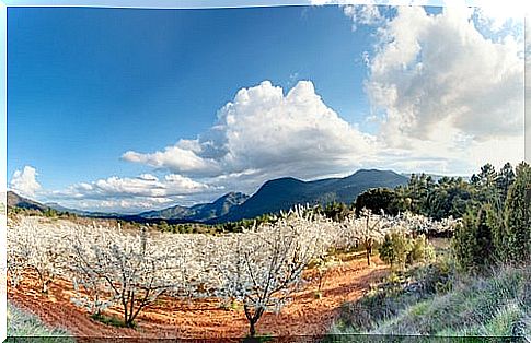 The Jerte Valley in Extremadura, a little paradise