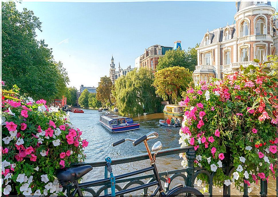 Canal in Amsterdam