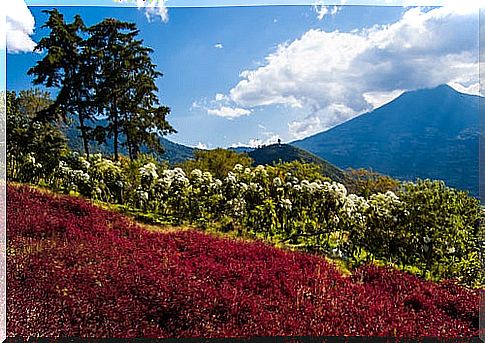 Guatemala and its colorful world