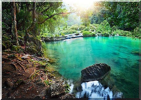 Semuc Champei Park in Gautemala