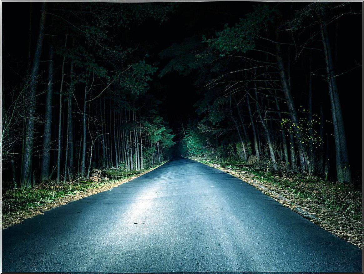 Dark and terrifying road at night.