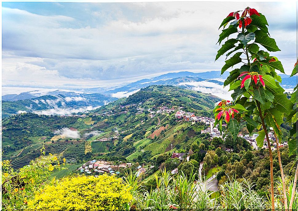 How to get to Mae Salong, a charming Thai town