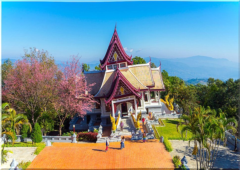 Srinakarindra Sathit in Mae Salong