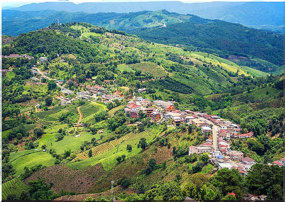 View of Mae Salong