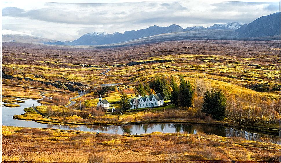 Iceland's long road to reforestation