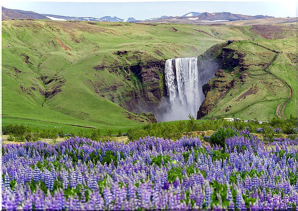 Skogafoss waterfall 