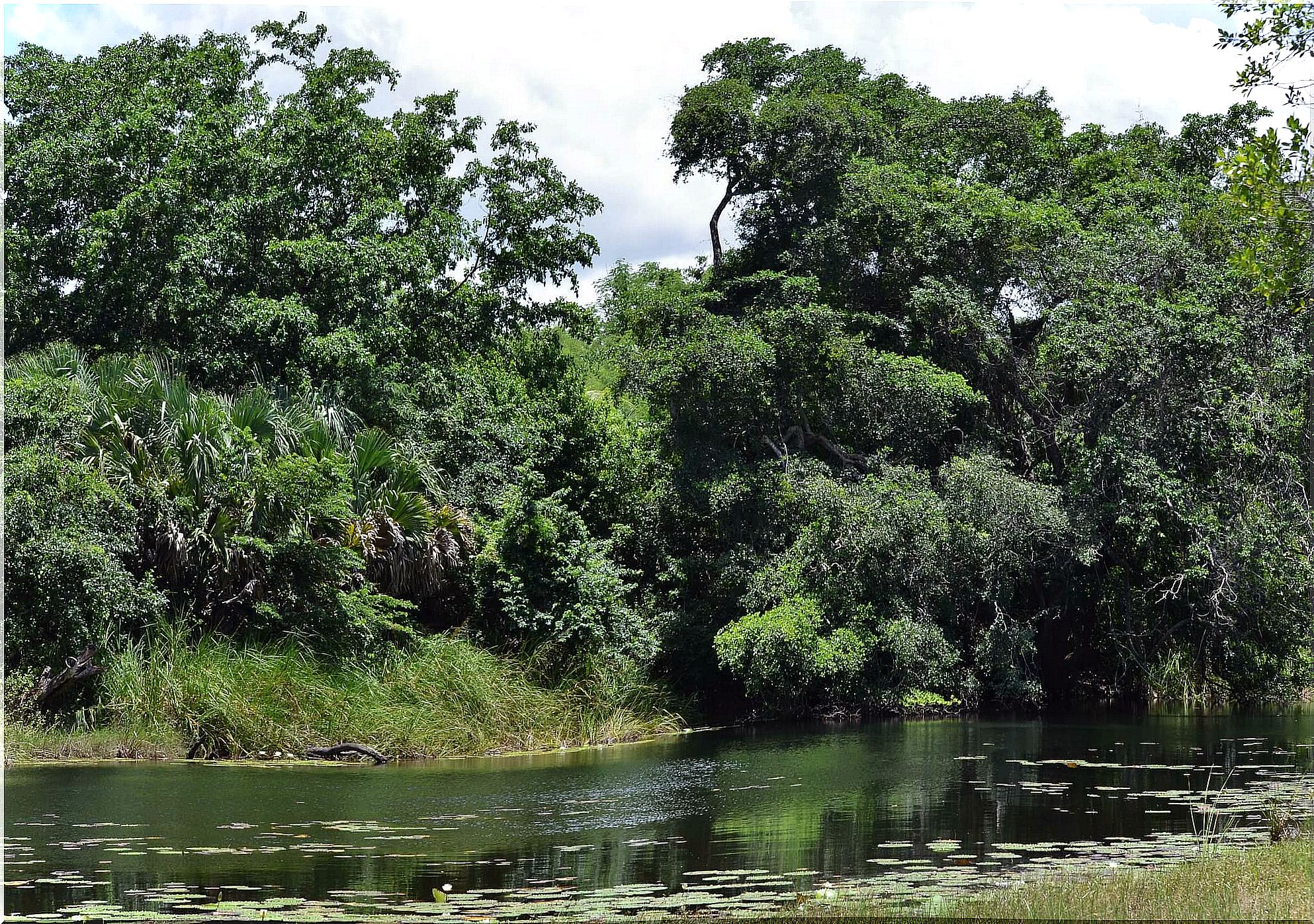 The Ich Ha Lol Xaan Nature Reserve presents a huge variety of fauna to discover.