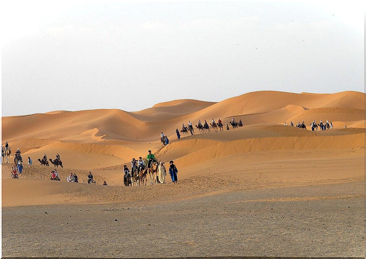 Moroccan desert camel trek