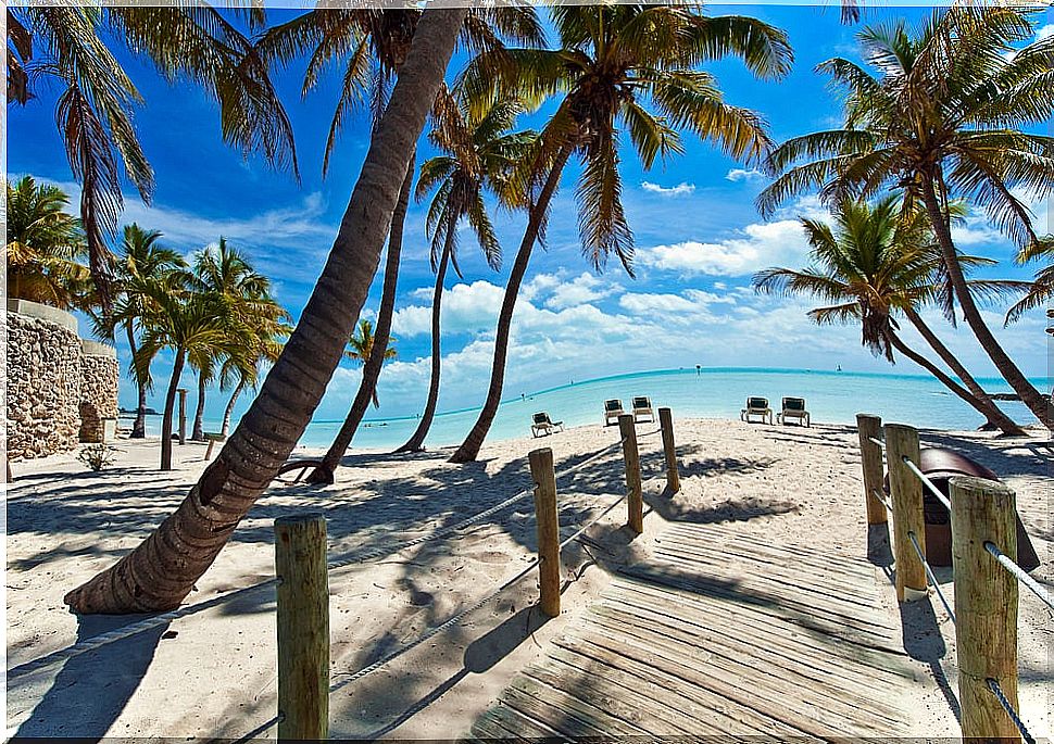 Beach in Key West